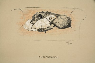 Amalgamation, 1st Edition of 